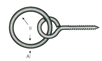 Halkalı Piton - Görsel 2